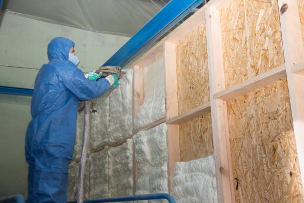 Insulation Replacement Services